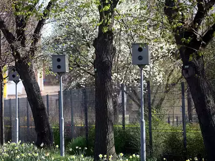 Starenkästen (Archiv) - Foto: über dts Nachrichtenagentur