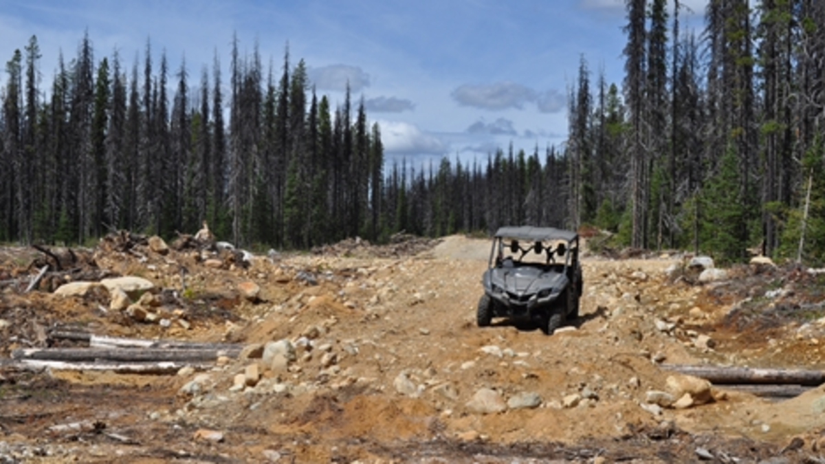 Auf einem Projekt der ML Gold - Foto: ML Gold Corp.