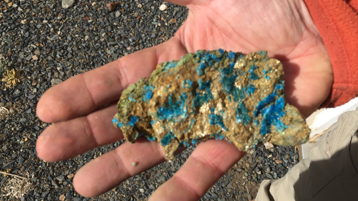 Kupfer- und Goldvererzung - Foto: Broadway Gold Mining