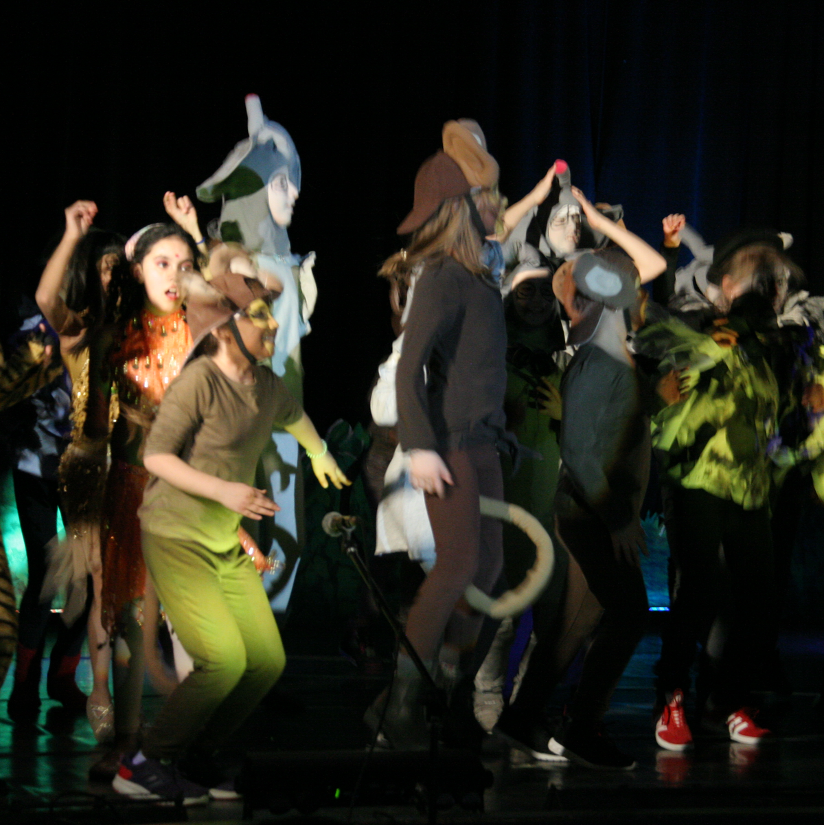 Jungle Book - Foto: ab