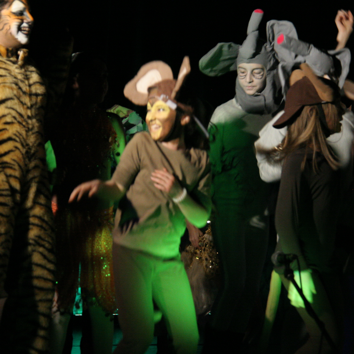 Jungle Book - Foto: ab