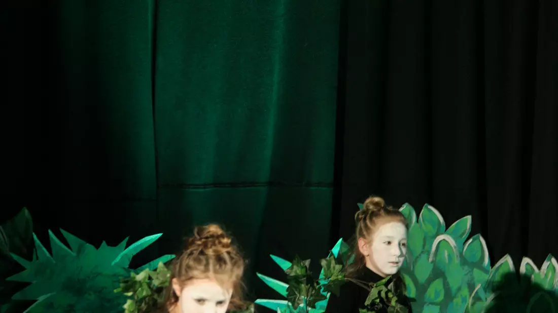 Jungle Book - Bild: ab