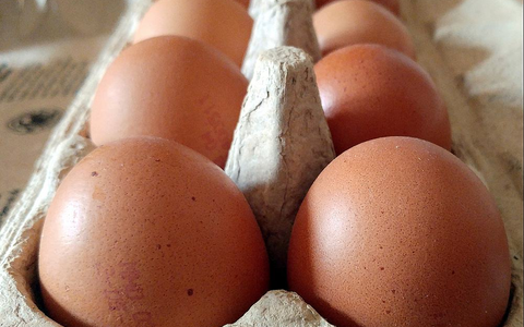 Eier (Archiv) - Foto: über dts Nachrichtenagentur