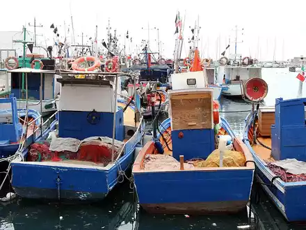 Schiffe in einem Hafen (Archiv) - Foto: über dts Nachrichtenagentur
