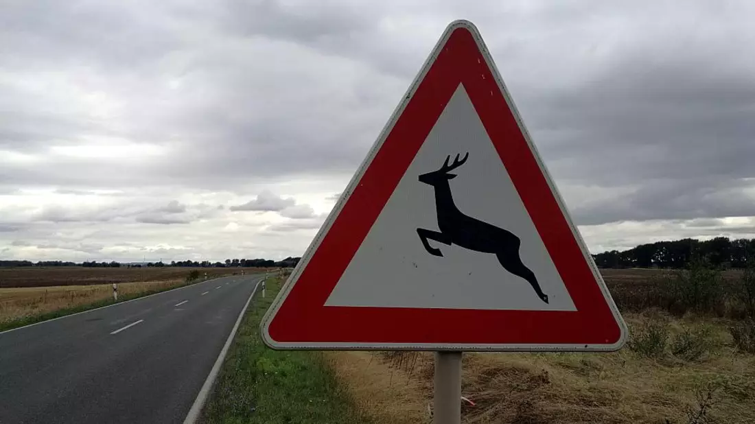 Warnschild vor Wildwechsel (Archiv) - Bild: über dts Nachrichtenagentur