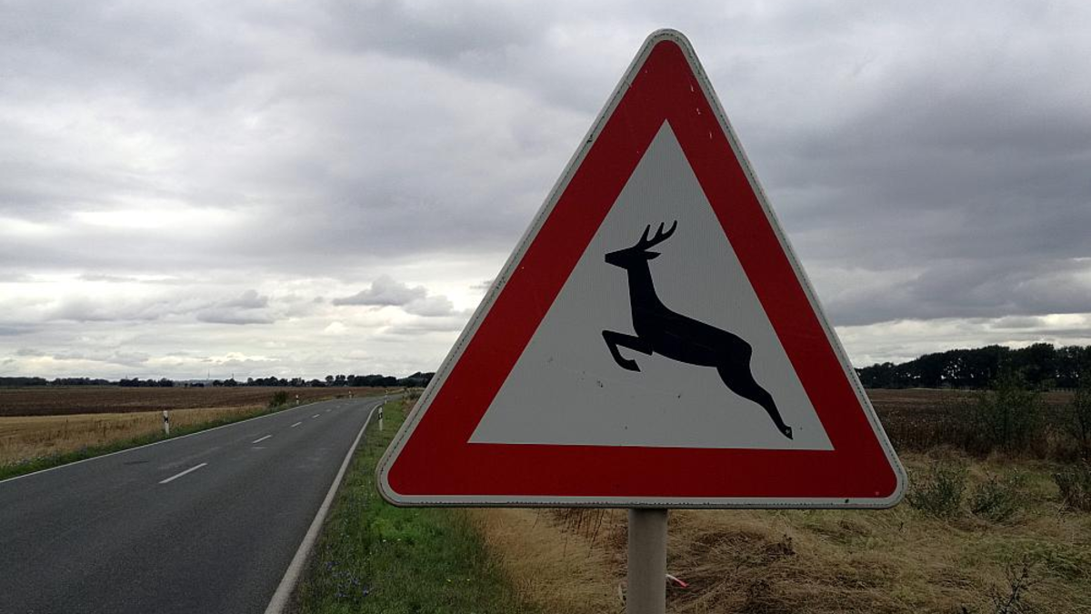 Warnschild vor Wildwechsel (Archiv) - Foto: über dts Nachrichtenagentur