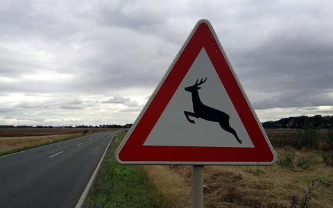 Warnschild vor Wildwechsel (Archiv) - Foto: über dts Nachrichtenagentur