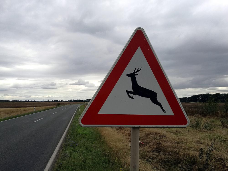 Warnschild vor Wildwechsel (Archiv) - Foto: über dts Nachrichtenagentur