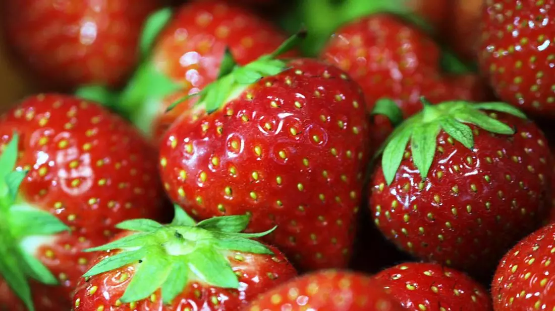 Erdbeeren (Archiv) - Bild: über dts Nachrichtenagentur