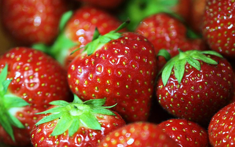 Erdbeeren (Archiv) - Foto: über dts Nachrichtenagentur