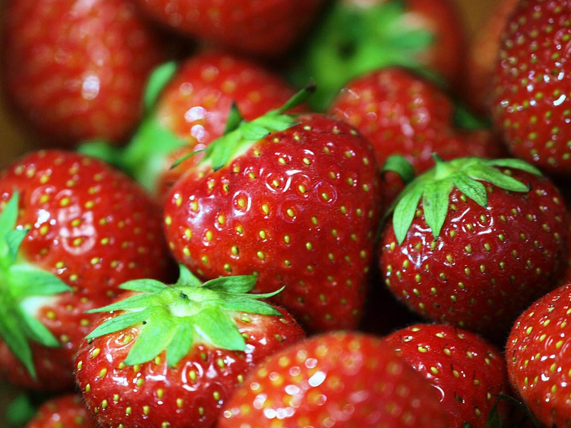 Erdbeeren (Archiv) - Foto: über dts Nachrichtenagentur