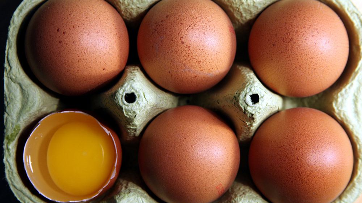 Eier (Archiv) - Foto: über dts Nachrichtenagentur