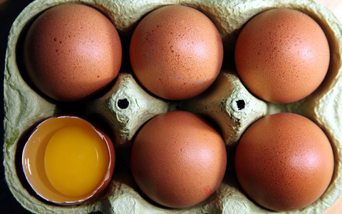 Eier (Archiv) - Foto: über dts Nachrichtenagentur