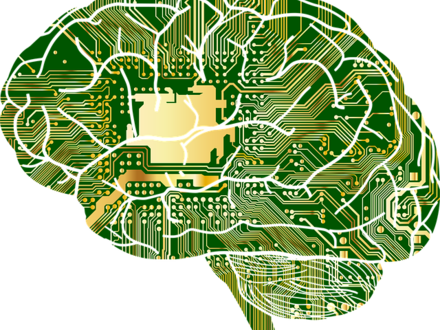 Anatomy - Foto: https://pixabay.com/en/anatomy-biology-brain-thought-mind-1751201/
