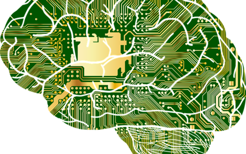 Anatomy - Foto: https://pixabay.com/en/anatomy-biology-brain-thought-mind-1751201/