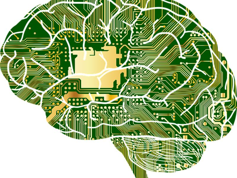 Anatomy - Foto: https://pixabay.com/en/anatomy-biology-brain-thought-mind-1751201/