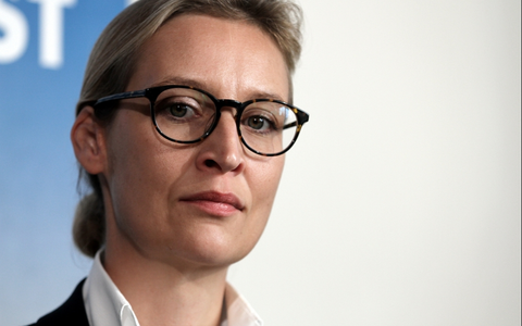 Alice Weidel - Foto: über dts Nachrichtenagentur
