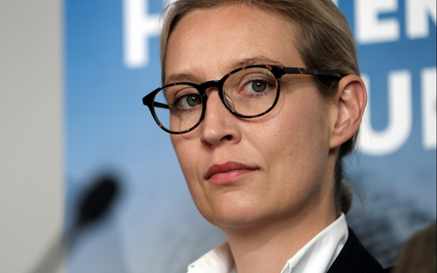 Alice Weidel - Foto: über dts Nachrichtenagentur