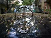 Mercedes-Stern (Archiv) - Foto: über dts Nachrichtenagentur