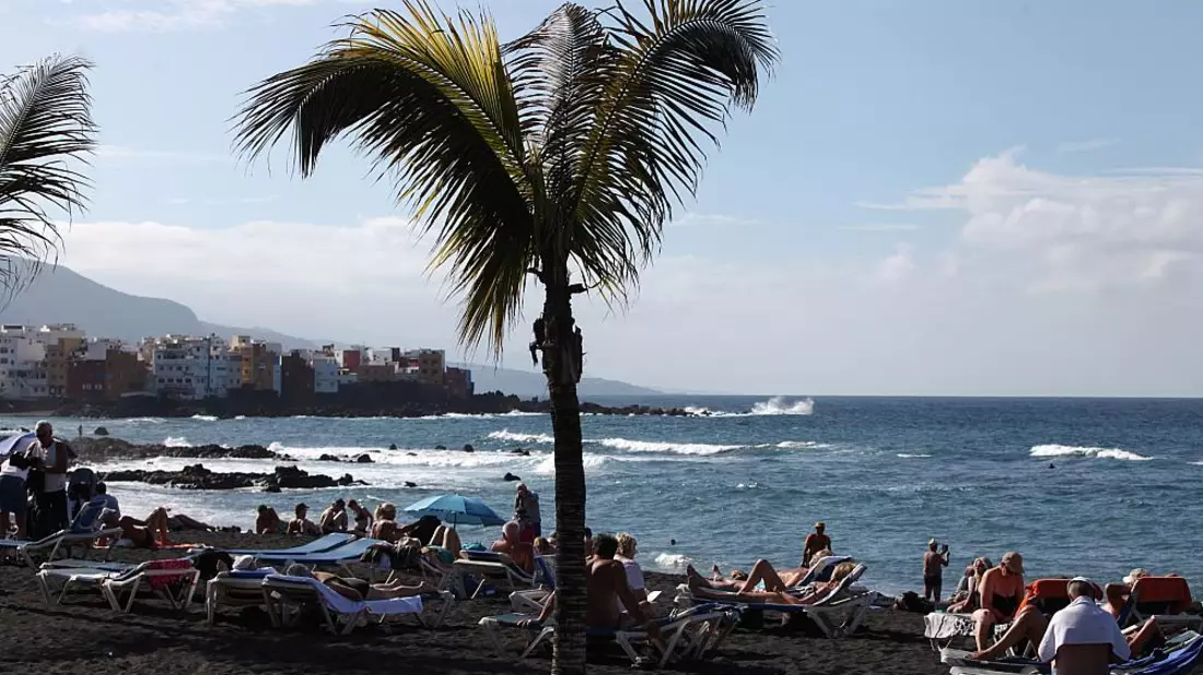 Palme an einem Strand (Archiv) - Bild: über dts Nachrichtenagentur