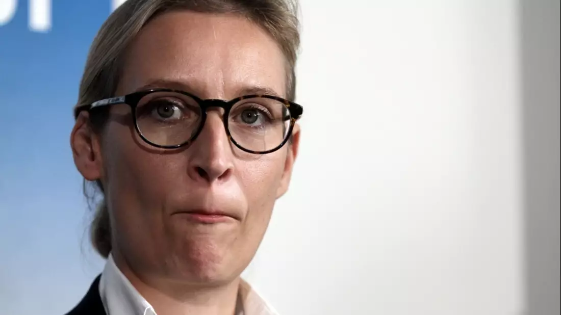 Alice Weidel - Bild: über dts Nachrichtenagentur