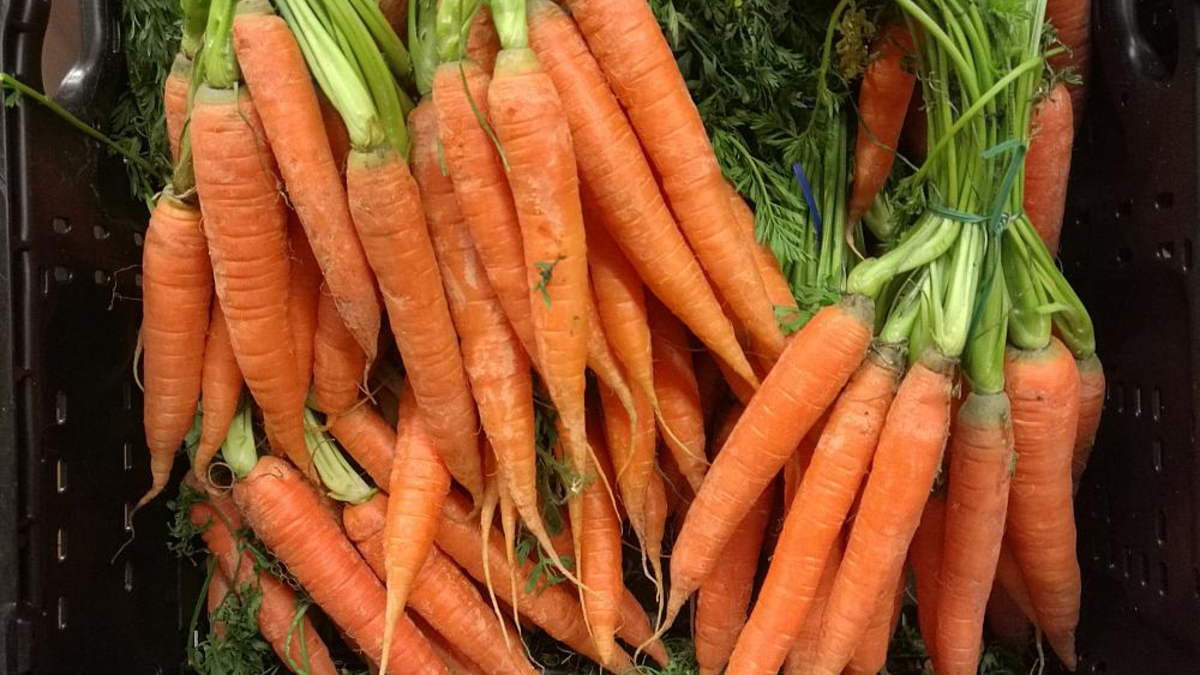 Möhren (Archiv) - Foto: über dts Nachrichtenagentur