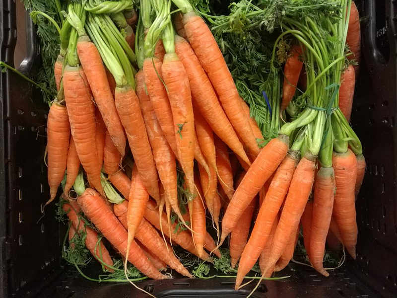 Möhren (Archiv) - Foto: über dts Nachrichtenagentur