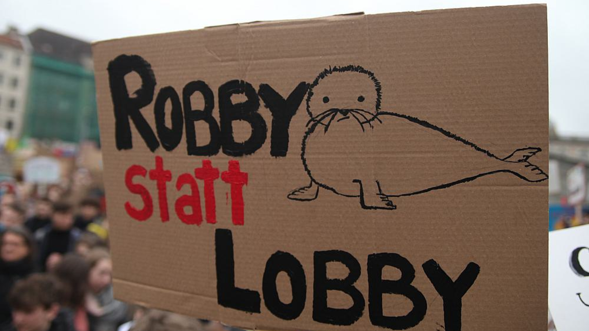 Fridays-for-Future-Protest (Archiv) - Foto: über dts Nachrichtenagentur