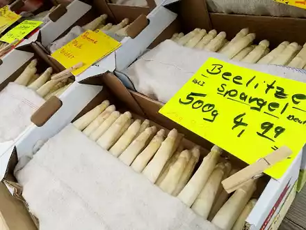 Spargel (Archiv) - Foto: über dts Nachrichtenagentur