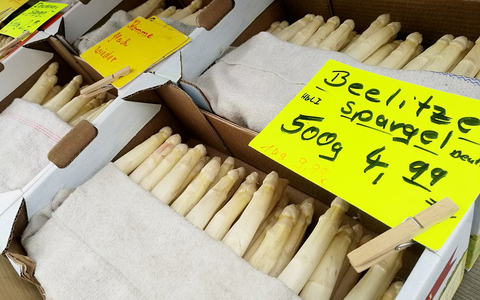 Spargel (Archiv) - Foto: über dts Nachrichtenagentur