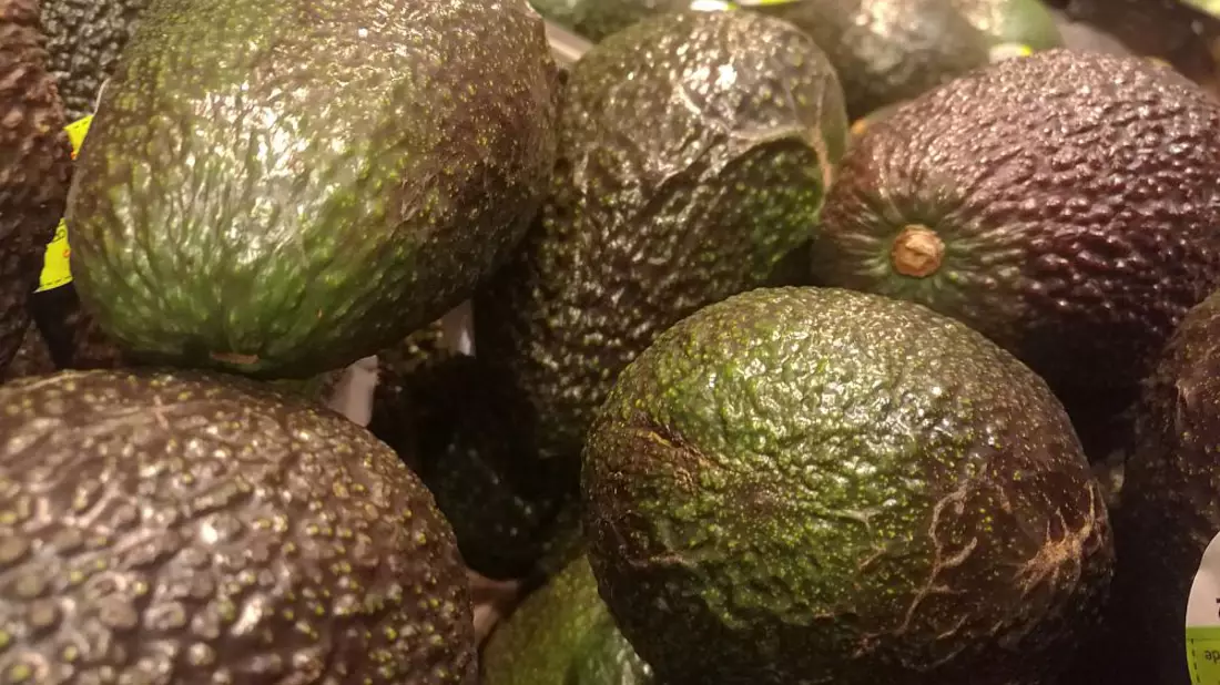 Avocado (Archiv) - Bild: über dts Nachrichtenagentur
