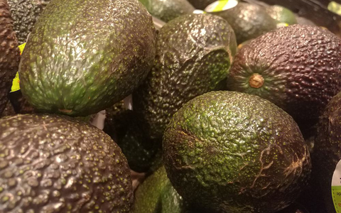 Avocado (Archiv) - Foto: über dts Nachrichtenagentur
