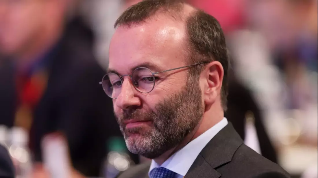 Manfred Weber - Bild: über dts Nachrichtenagentur