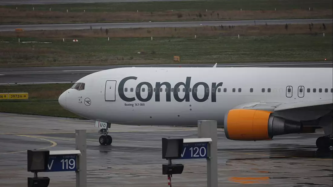 Condor (Archiv) - Bild: über dts Nachrichtenagentur