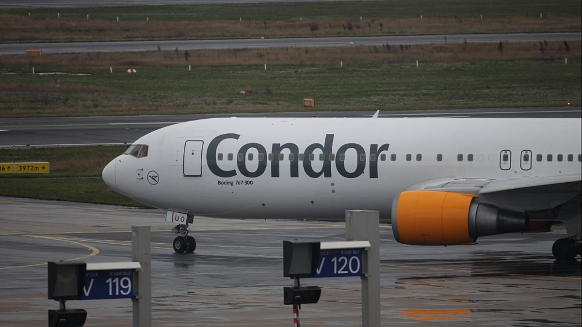 Condor (Archiv) - Foto: über dts Nachrichtenagentur