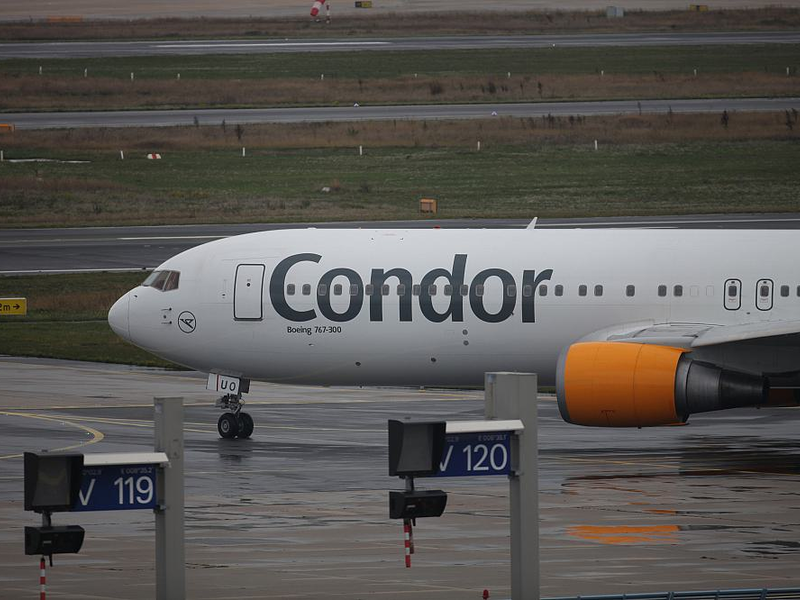 Condor (Archiv) - Foto: über dts Nachrichtenagentur