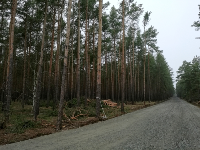Standort von neuer Tesla-Fabrik in Brandenburg - Foto: über dts Nachrichtenagentur