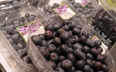 Heidelbeeren - Foto: über dts Nachrichtenagentur