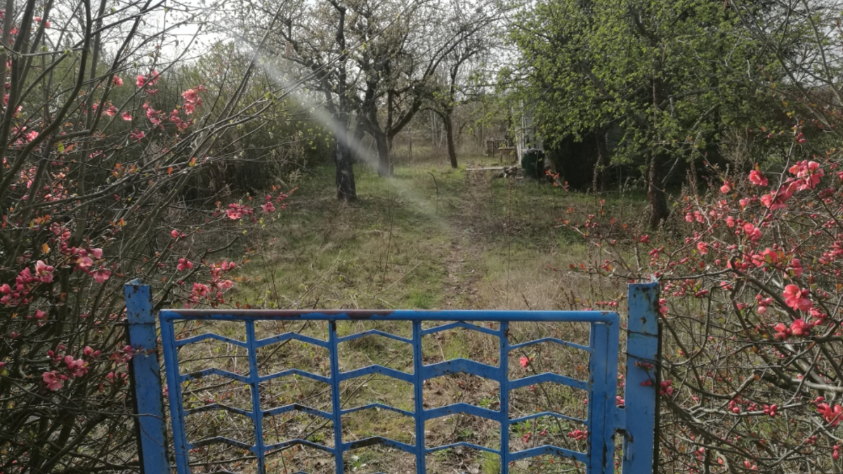 Kleingarten - Foto: über dts Nachrichtenagentur