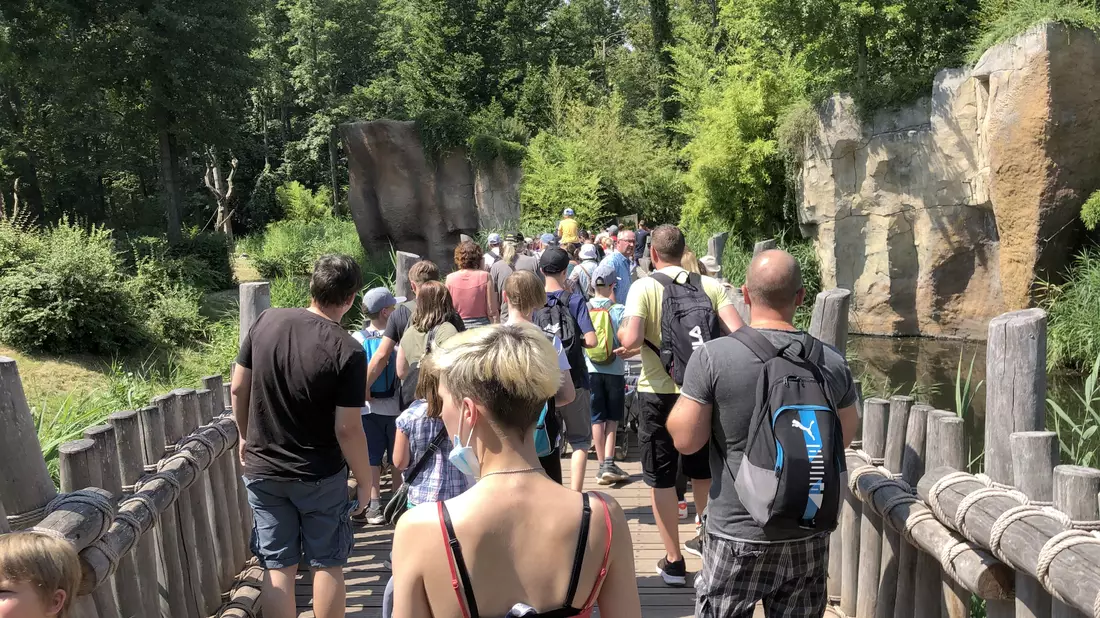 Abstandsregeln im Leioziger Zoo - Bild: CJ