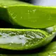 Insbesondere das Gel der Aloe Vera hat heilende Wirkung auf den menschlichen Organismus. - Bild: pixabay.de © Franziska Ingold CCO Public Domain