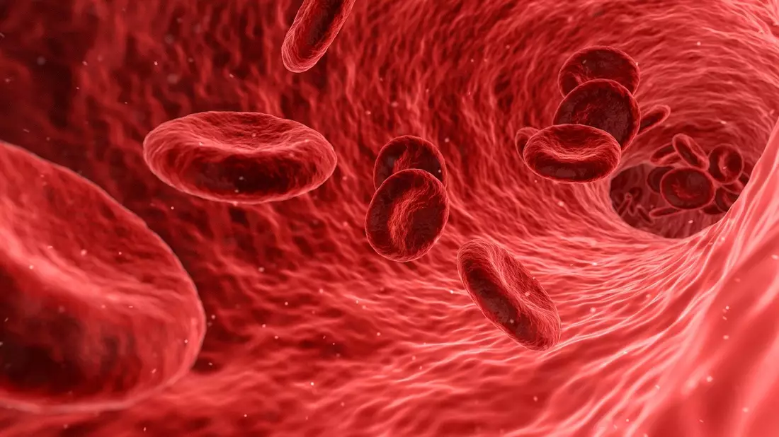 Mit Aloe Vera wird das Immunsystem gestärkt und Krankheiten werden unwahrscheinlicher. - Bild: pixabay.de © Arek Socha CCO Public Domain