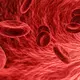 Mit Aloe Vera wird das Immunsystem gestärkt und Krankheiten werden unwahrscheinlicher. - Bild: pixabay.de © Arek Socha CCO Public Domain