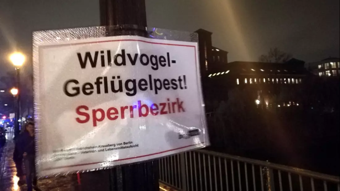 Warnschild vor Geflügelpest in Berlin - Bild: ?ber dts Nachrichtenagentur