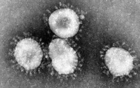 Corona-Virus - Foto: über dts Nachrichtenagentur