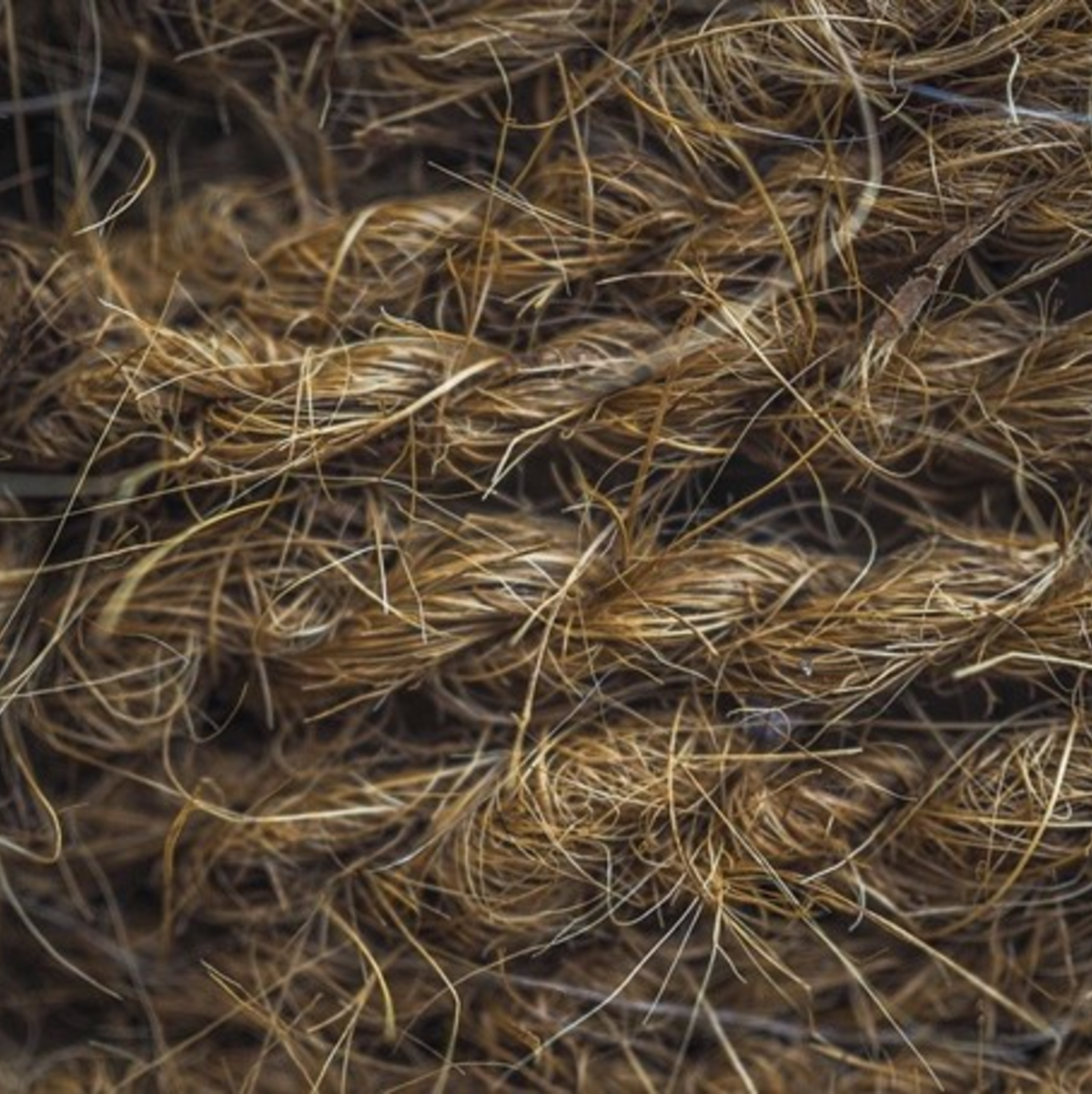 Hanf wird als Verpackungs- und Dämmmaterial immer beliebter, auch in der Bau- und Automobilindustrie. - Foto: pixabay.com @ MichaelGaida (CC0 Creative Commons)