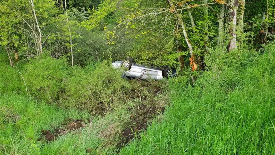POL-PDLD: Edesheim - Verkehrsunfall unter Alkoholeinfluss, Einsatz des Polizeihubschraubers - Bild: presseportal.de