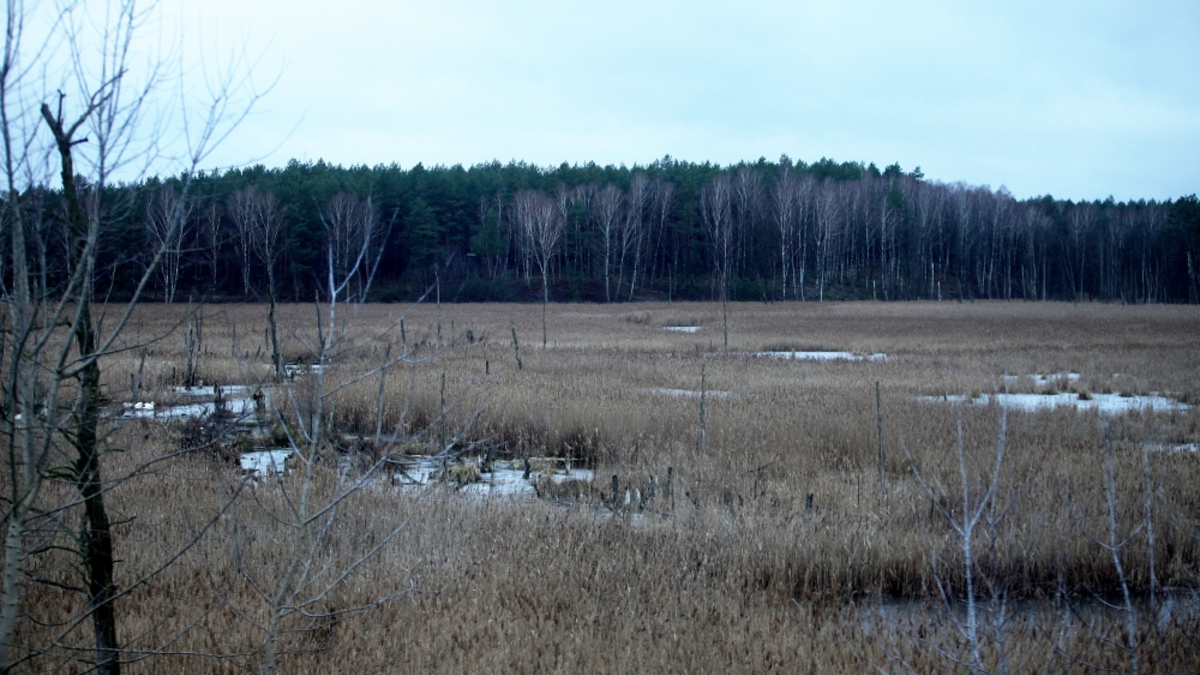 Moorlandschaft - Foto: ?ber dts Nachrichtenagentur