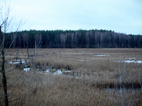 Moorlandschaft - Foto: ?ber dts Nachrichtenagentur
