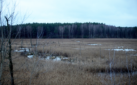 Moorlandschaft - Foto: ?ber dts Nachrichtenagentur